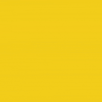 Crypto Blockchain GIF by Raiinmaker