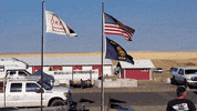 Car Racing GIF by 24 Hours Of Lemons