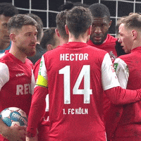 1 Fc Cologne Football GIF by 1. FC Köln