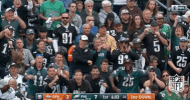 football GIF by NFL