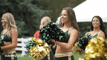 Rams Football Csurams GIF by Colorado State Rams