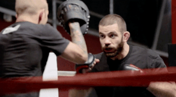 the ultimate fighter ufc GIF