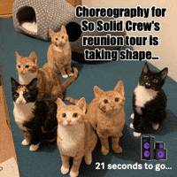 So Solid Crew Kittens GIF