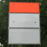 Joe Biden Sign GIF by Creative Courage