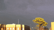 rain storming GIF