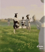 Its The First Of The Month GIF