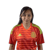 celebrate come on Sticker by MiSelecciónMX
