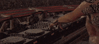 coachella 2019 GIF by FISHER