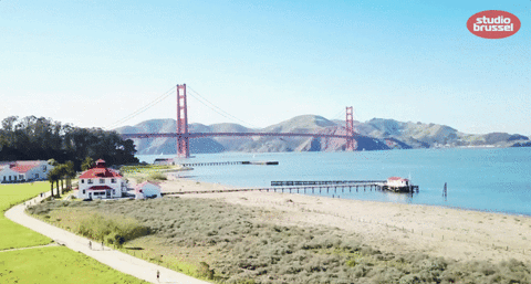 california love vrt nu GIF by Studio Brussel