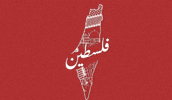 Palestine Gaza GIF