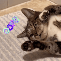 Awkward Oh No GIF