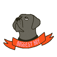parisadale dog alto mastiff bigdog Sticker