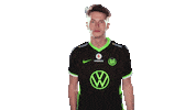 E Sports Sport Sticker by VfL Wolfsburg