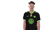 E Sports Sport Sticker by VfL Wolfsburg