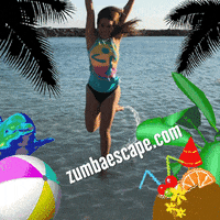 GIF by zumbaescape