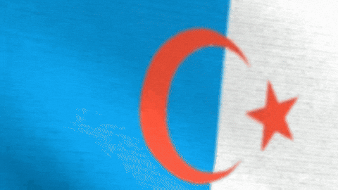 Syrian GIF
