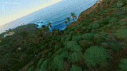 Fpv GIF by AirVuz