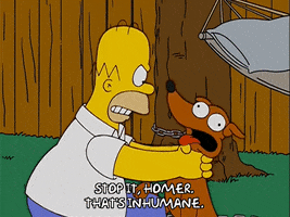 homer simpson GIF