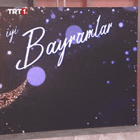 19 Mayıs Celebration GIF by TRT