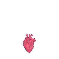 qubensis love heart amor typography Sticker