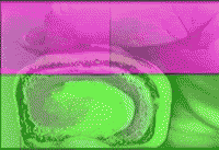 Vhs Color GIF by jorgemariozuleta