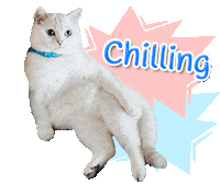 nalacat whitecoffeecat Sticker