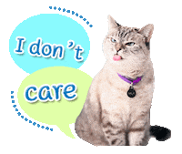Cat Meow Sticker