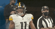 Pittsburgh Steelers Football GIF by NFL