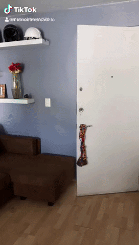 alinahernandeznavarro giphyupload tiktok acronimo GIF