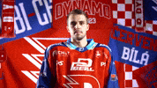 Hockeytown GIF by HC Dynamo Pardubice