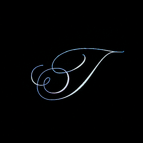 ariweinkle typography t ari weinkle growths GIF