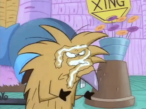 nickrewind giphydvr nicksplat angry beavers giphyab010 GIF
