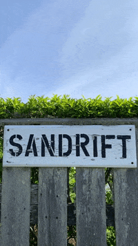 ack nantucket GIF by The Proper Pup