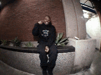 Wolf Bass GIF by IDK