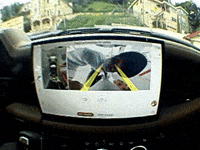 Wolf Bass GIF by IDK