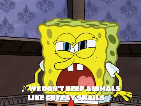 season 8 episode 10 GIF by SpongeBob SquarePants