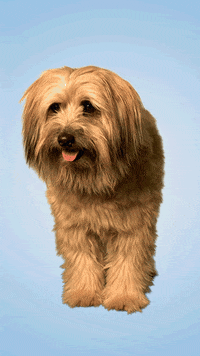 Zurich Insurance Cap GIF by Zurich Schweiz