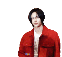Idol Hello Sticker by koreadispatch