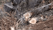 Grading John Deere GIF by JC Property Professionals