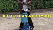 4Patriots  GIF