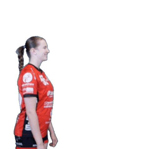 Handball Sticker by Hollenstedt-Handball