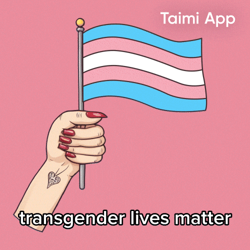 Trans Rights GIF by Taimi