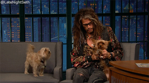 steven tyler nbc GIF by Late Night with Seth Meyers