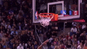 Toronto Raptors GIF by NBA