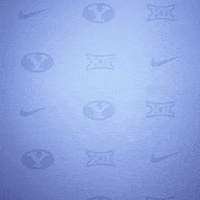 Byu Baseball GIF by BYU Cougars
