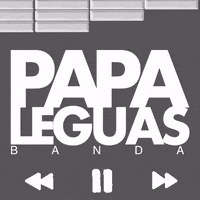 bandapapaleguas music musica brasil bell GIF