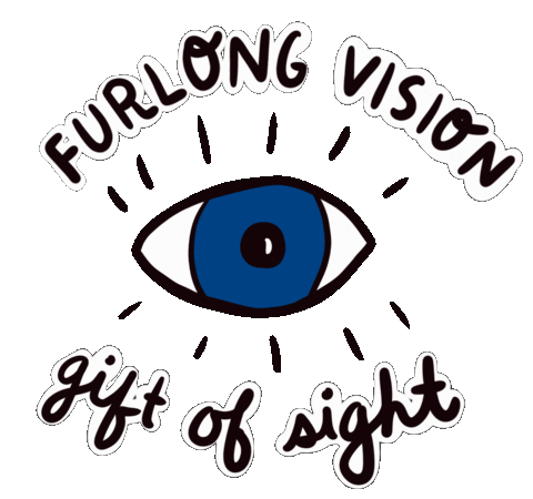 FurlongVision giphyupload Sticker