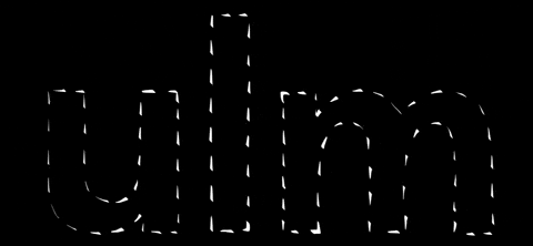 Munster Donaustadt GIF by Stadt Ulm