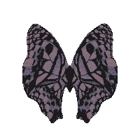 Prom Queen Butterfly Sticker by Olivia Rodrigo