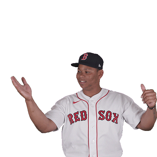 Red Sox Baseball Sticker by Boston Red Sox